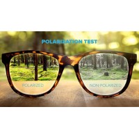 POLAREYE PTE2115 ΠΟΛΩΤΙΚΑ ΓΥΑΛΙΑ ΗΛΙΟΥ GREY